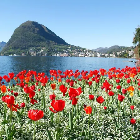 In - Happy * Lugano