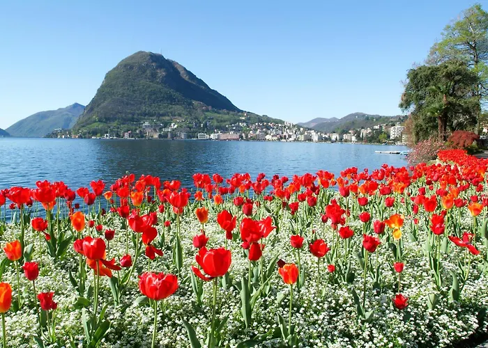 In - Happy * Lugano